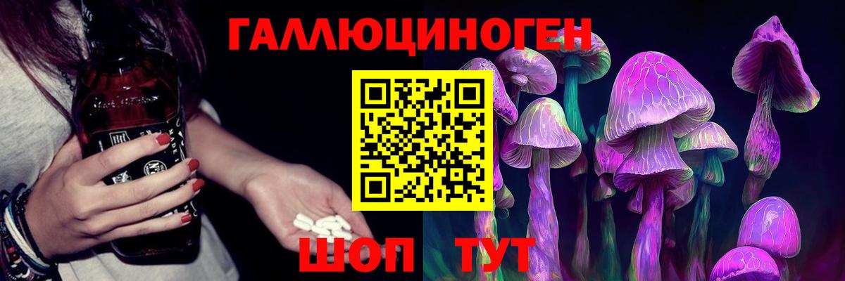 Псилоцибиновые грибы Cubensis Сегежа